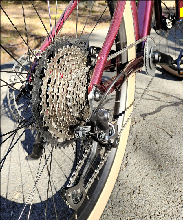 Closeup of 12 speed rear hub cluster.